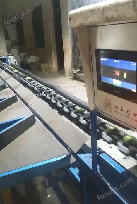 智能引領，精準分選 探秘凱祥新型牛奶棗電腦選果機